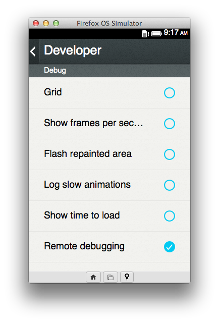 remote debug setting
