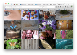 an image gallery showing sixteen pictures in a four by four grid