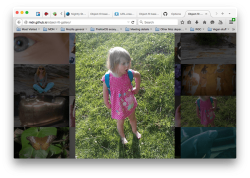 an image gallery showing one large image