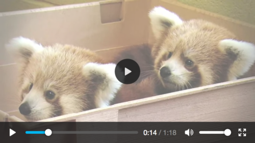 Screenshot of the default HTML5 video controls in Firefox 53