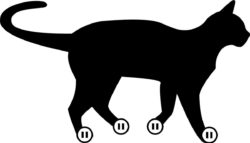 A cat with icons of pause buttons where its paws would be.