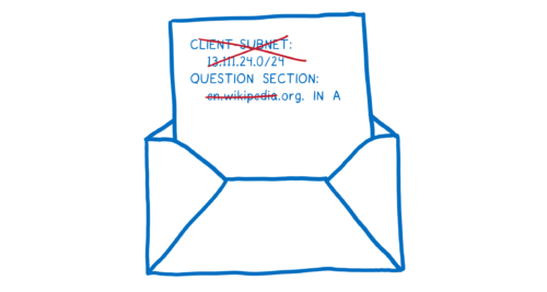 DNS request with client subnet and first part of domain cross out