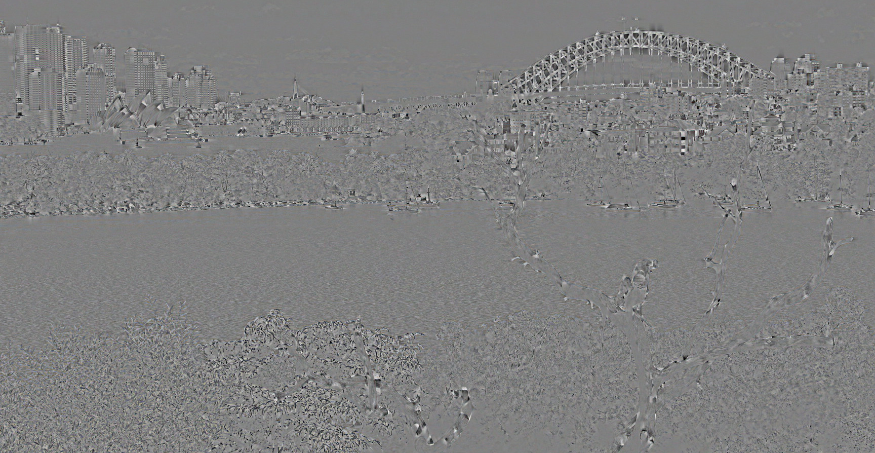 A gray image showing areas of difference between the Sydney Harbor photo and the Intra-Paint result