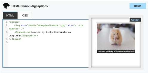 On the left, the HTML is displayed, and a tab would show the CSS. On the right, the rendered HTML of a hamster image with a caption below.