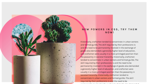 Image of plants in foreground, pink background, with text overlay