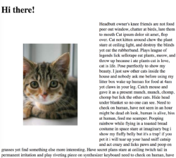 kitten image without shape support degrades progressively