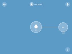 Detailed Leak Sensor view