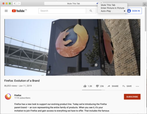 The Safari web browser playing a video, with the context menu for the audio toggle in the address bar displayed. “Enter Picture in Picture” is one of the menu items.
