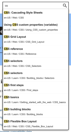 MDN's autocomplete search in action